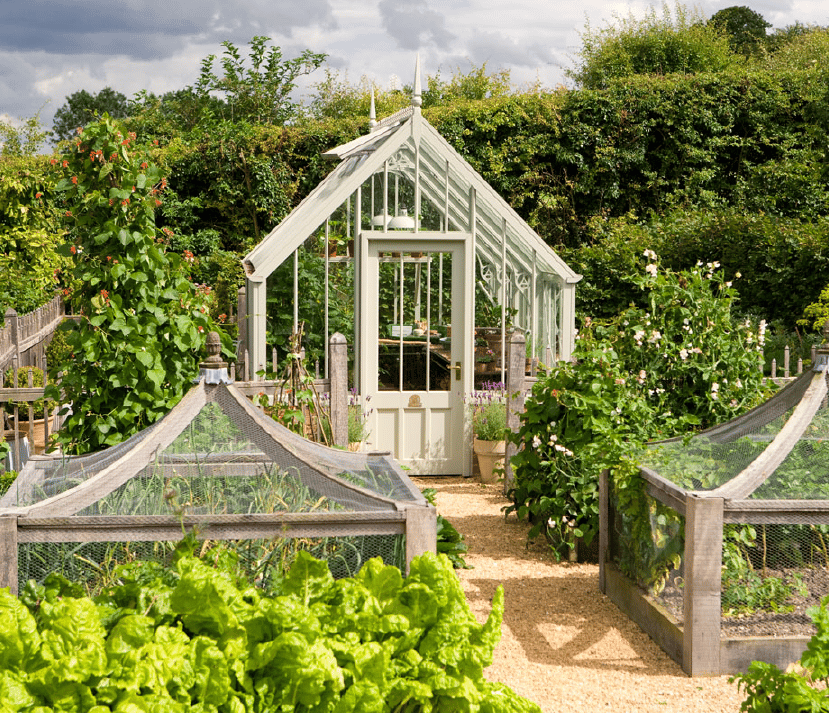 National Trust greenhouse