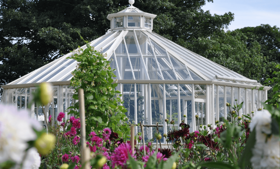 Alitex aluminium octagonal glasshouse in a walled kitchen garden