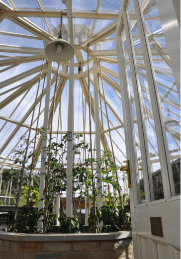 Alitex aluminium octagonal glasshouse in a walled kitchen garden