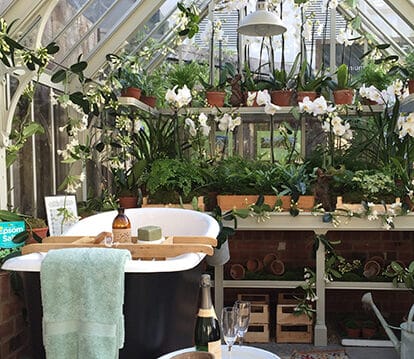 Bath tub inside a victorian greenhouse surrounded by plants and flowers