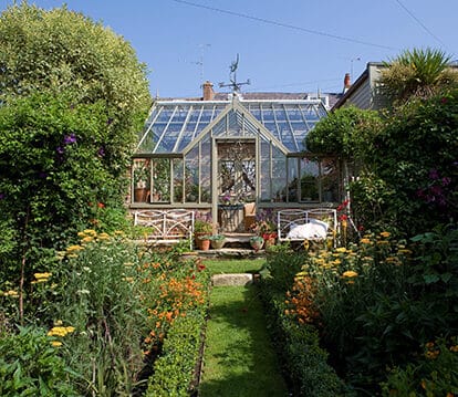 Wood sage victorian greenhouse with a central lobby in a small garden. The grass path leading to the greenhouse is lined with flowers and foliage.
