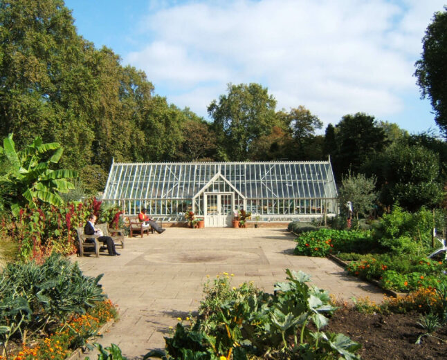 Alitex greenhouse at Thrive
