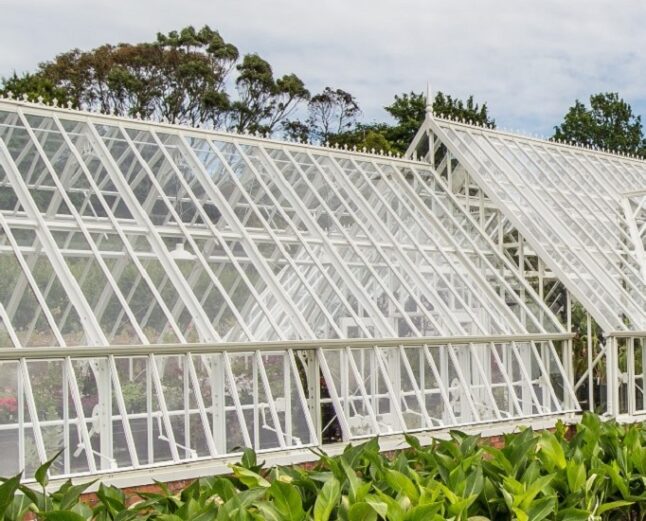 Greenhouse in the midst of a botanical garden