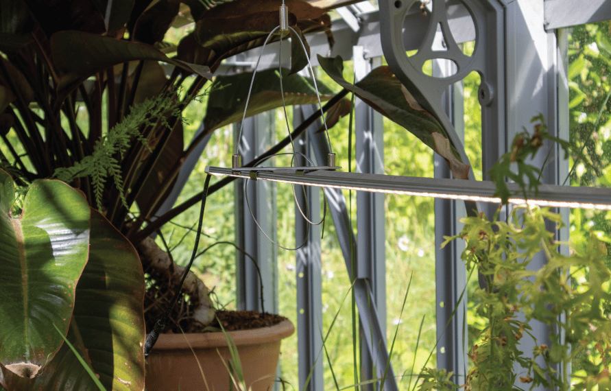 National Trust Tatton greenhouse