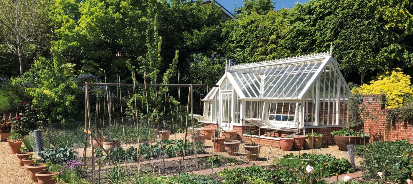 Garden with Alitex Greenhouse