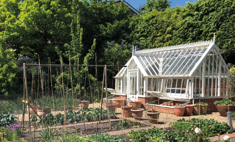 Garden with Alitex Greenhouse
