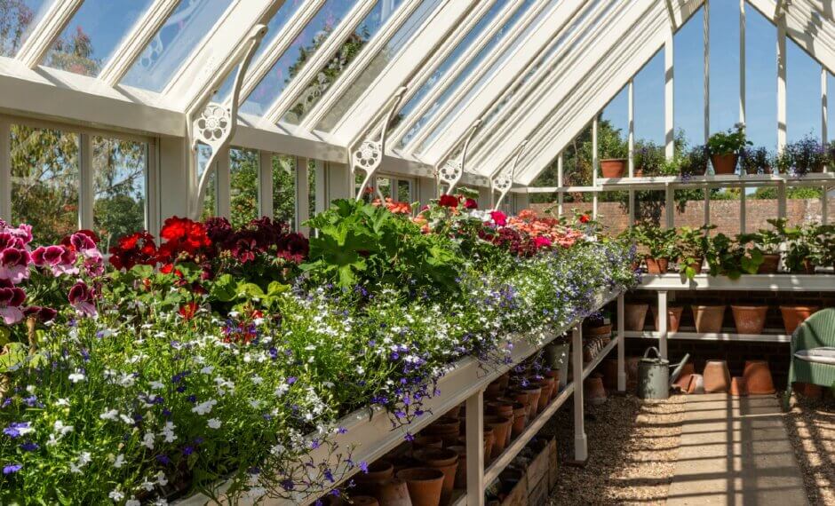 internal greenhouse shot