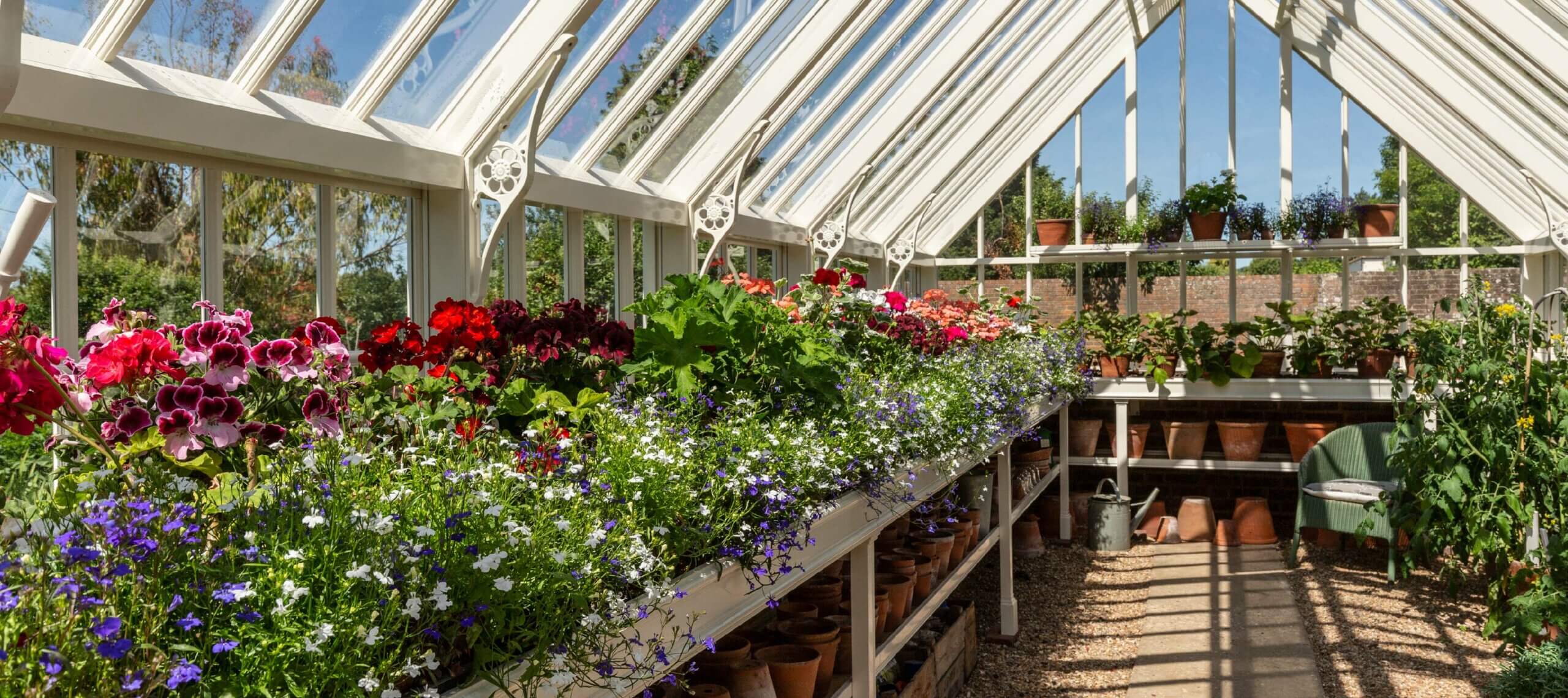 internal greenhouse shot
