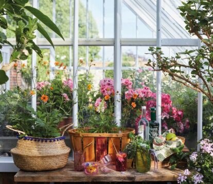 flowers in pots in a victorian greenhouse