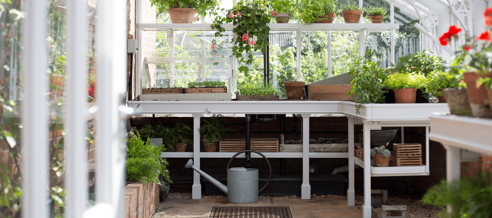 Greenhouse benching inside a victorian greenhouse