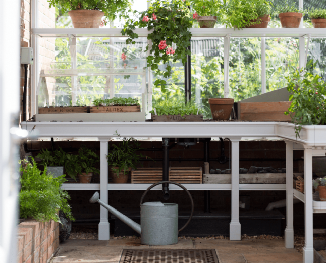 Greenhouse benching inside a victorian greenhouse