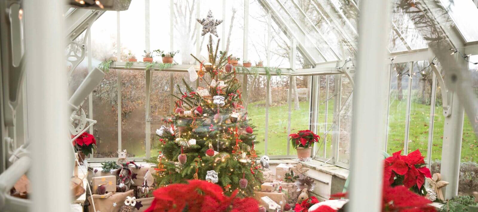 Christmas in an alitex greenhouse
