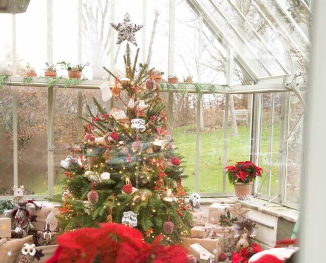 Christmas in an alitex greenhouse