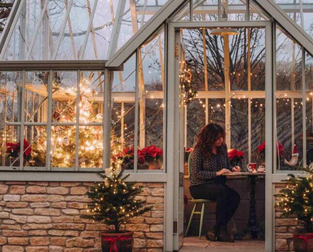 greenhouse at christmas time