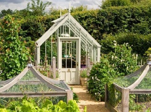 Victorian greenhouse hidcote