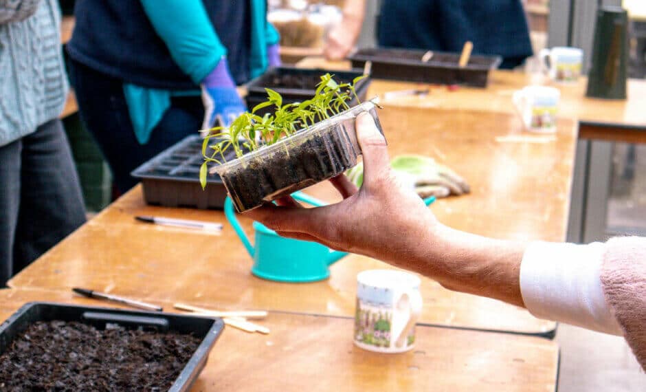 Julia Parker webinars