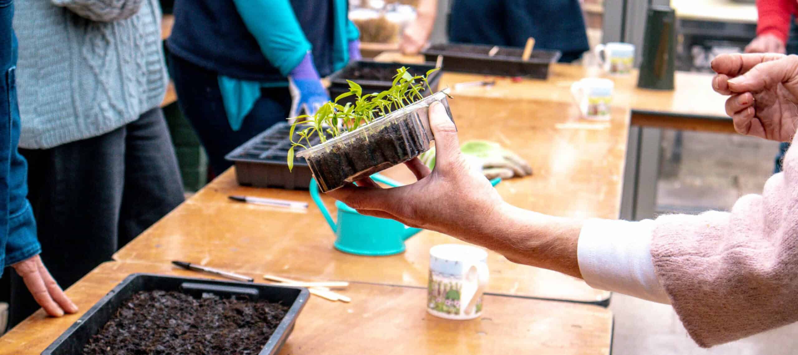 Julia Parker webinars