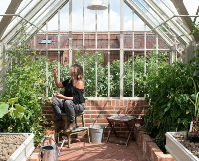 Gardener eating tomatoes in an aliltex greenhouse