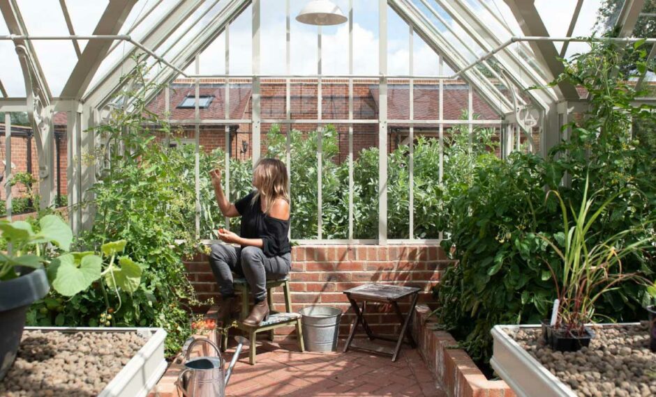 Gardener eating tomatoes in an aliltex greenhouse