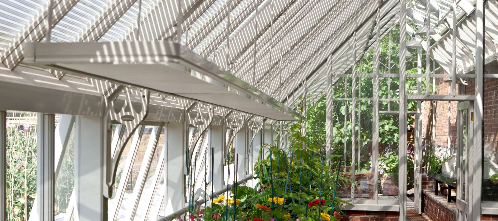 Messenger glazing system in victorian glasshouse