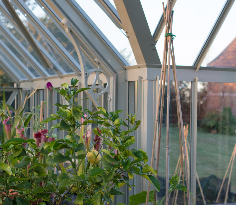 traditional glazing system on victorian greenhouse