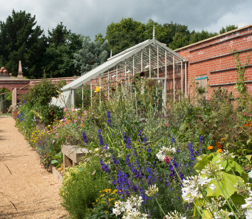 Kitchen garden