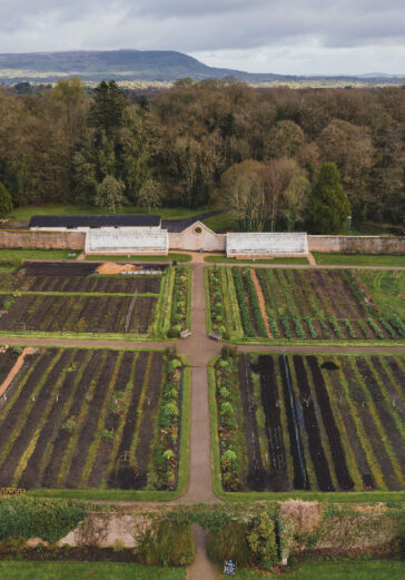 Greenhouses at Florence Court
