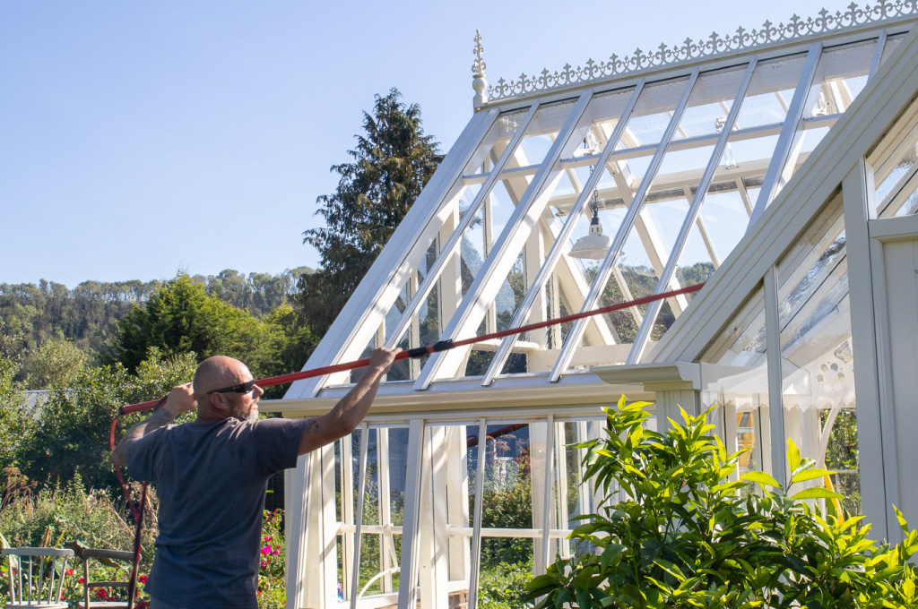 Greenhouse clean and care