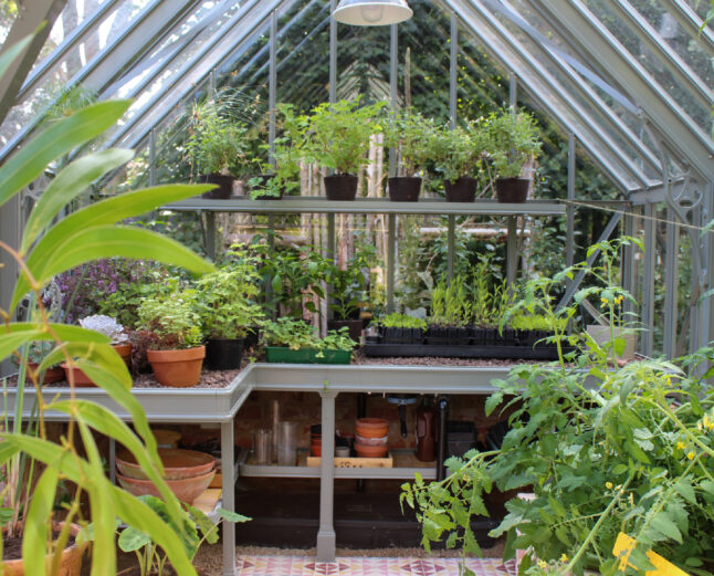 Greenhouse internal layout