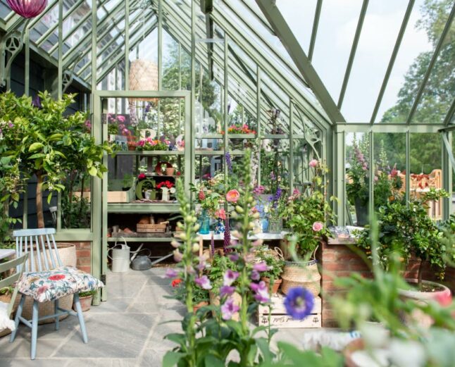 Internal shot of greenhouse at chelsea flower show
