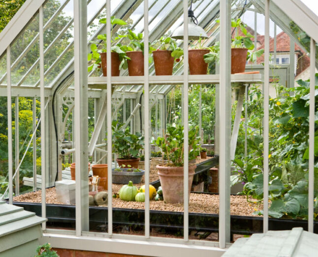 Scotney greenhouse internal layout