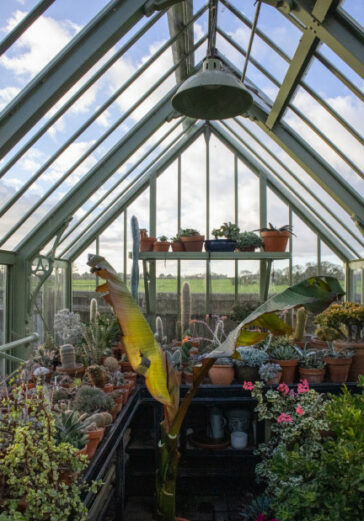 Stourhead greenhouse internal