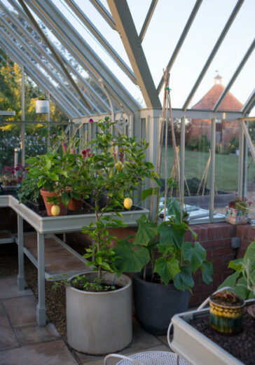 Wimpole greenhouse internal layout