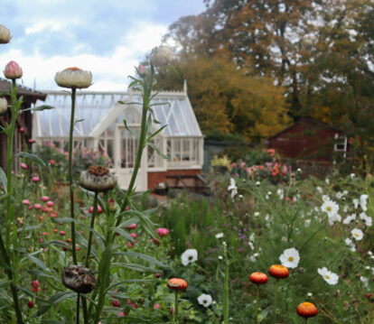 Florians botanicals greenhouse header
