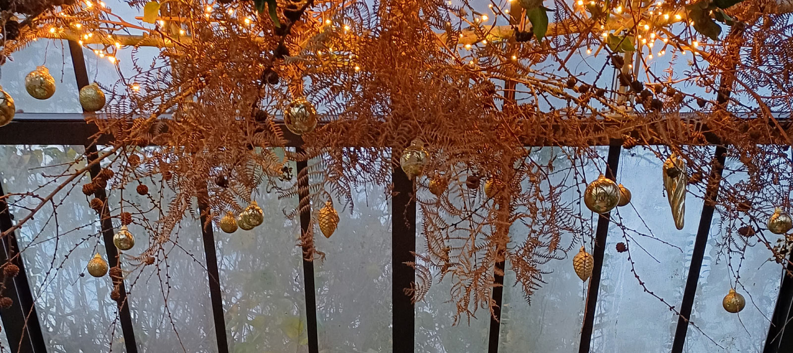 December grow guide banner