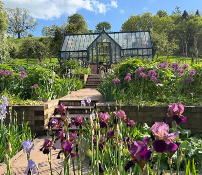 Alitex greenhouse at Netherwood estate in bespoke blue