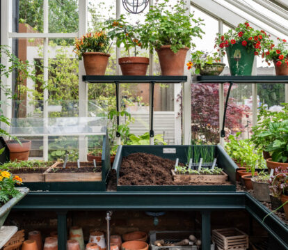Alitex chelsea 2026 stand, inside Messenger greenhouse