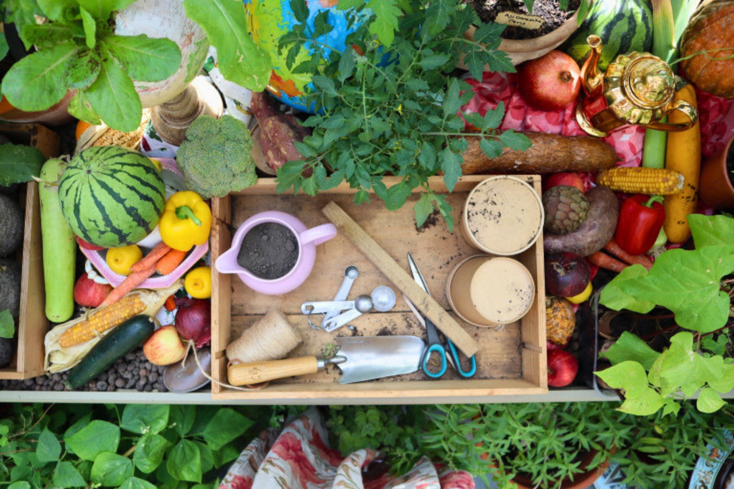 Overhead view of fruit, vegetables and edible plants displayed on the Alitex Glasshouses stand at the RHS Chelsea Flower Show 2026, including tomatoes, broccoli, peppers, sweetcorn, squash and gardening tools.