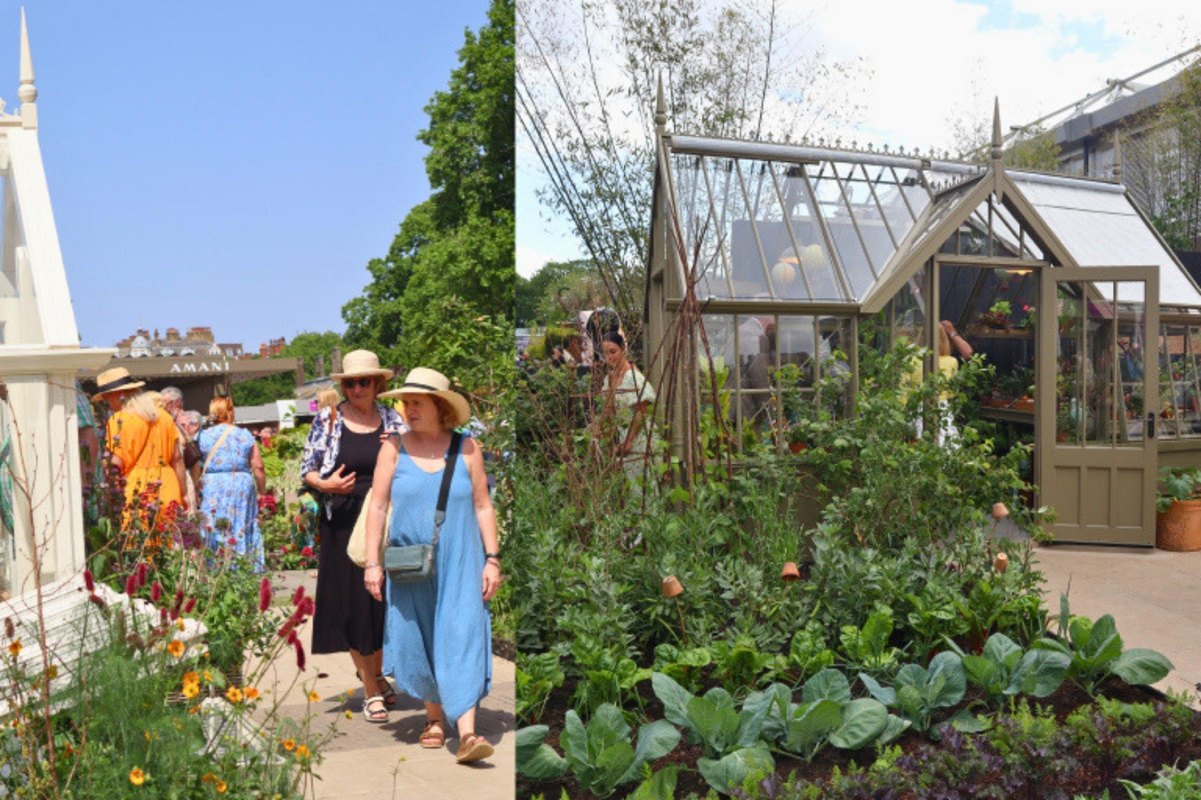 Visitors explore the Alitex Glasshouses stand at the RHS Chelsea Flower Show 2026. On the left, people stroll past colourful flowers and planting beneath a bright sky. On the right, an elegant Victorian-style greenhouse is surrounded by thriving edible beds filled with leafy vegetables, climbing crops and herbs, showcasing a productive kitchen garden.