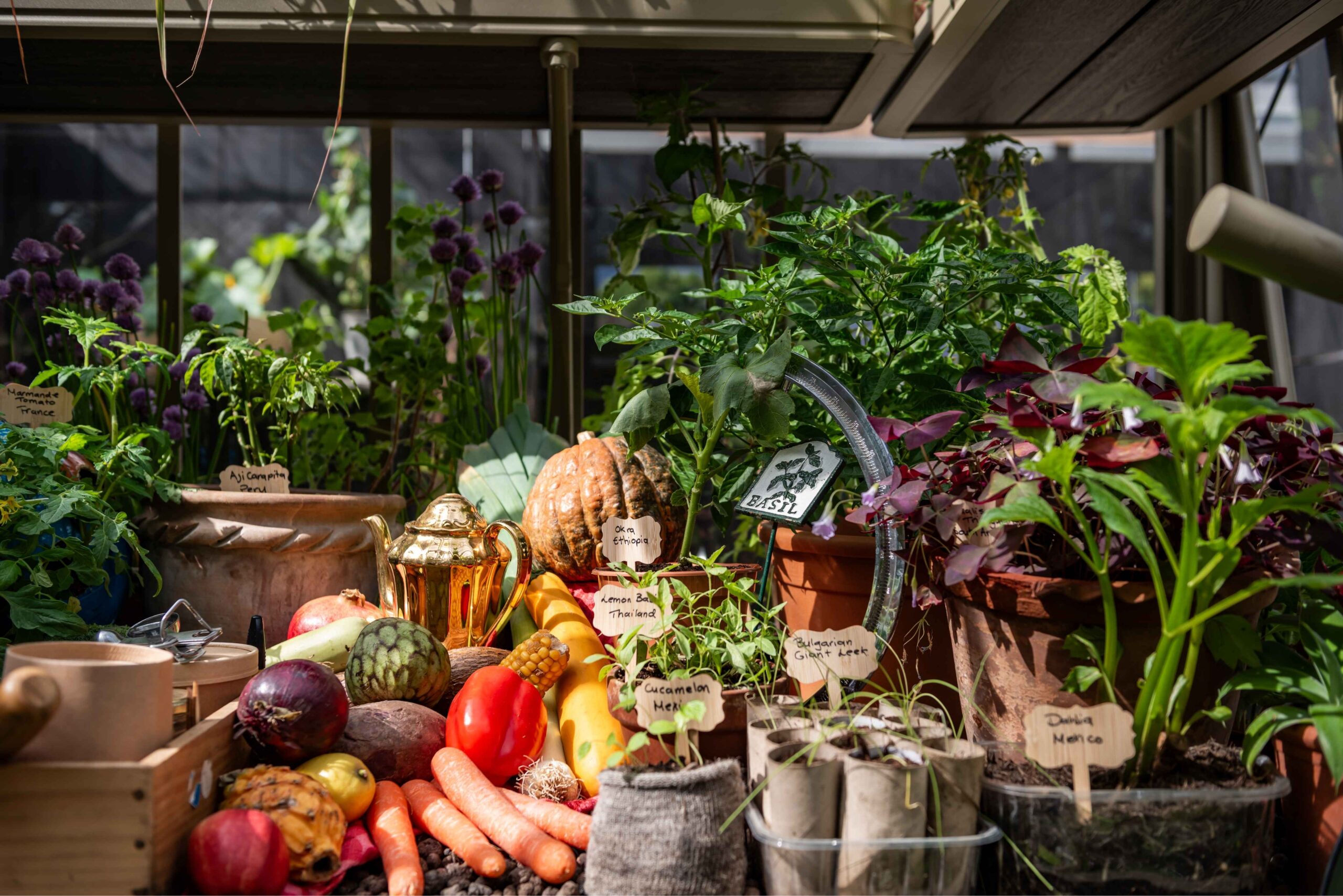 Side on view of fruit, vegetables and edible plants displayed on the Alitex Glasshouses stand at the RHS Chelsea Flower Show 2026, including tomatoes, broccoli, peppers, sweetcorn, squash and gardening tools