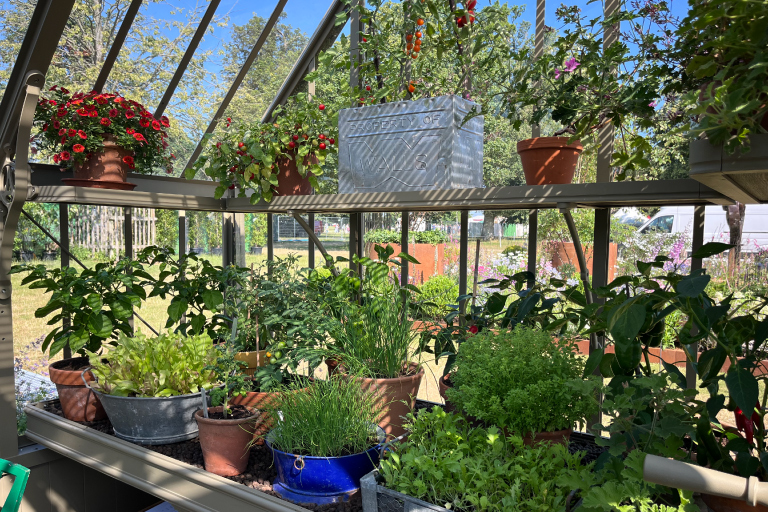 A handcrafted woodsage mottisfont Alitex greenhouse sits among abundant cottage-style planting, flowering perennials and mature trees in The Cricket Pavilion Garden at the RHS Badminton Flower Show.