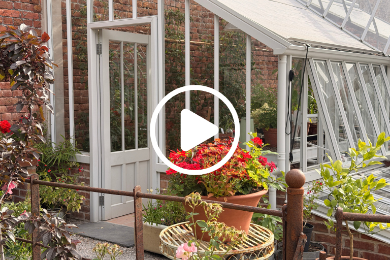 Alitex greenhouse and Laundry Garden grow guide video