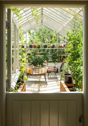 Jersey B&B Gardeners Rest inside Alitex Greenhouse with shelving