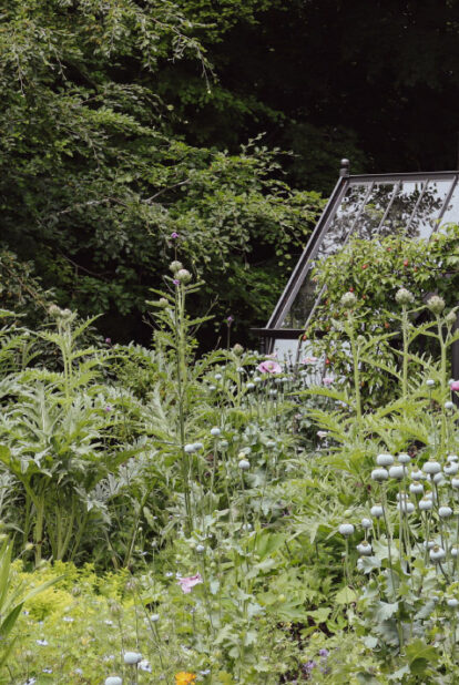 Black Alitex greenhouse case study