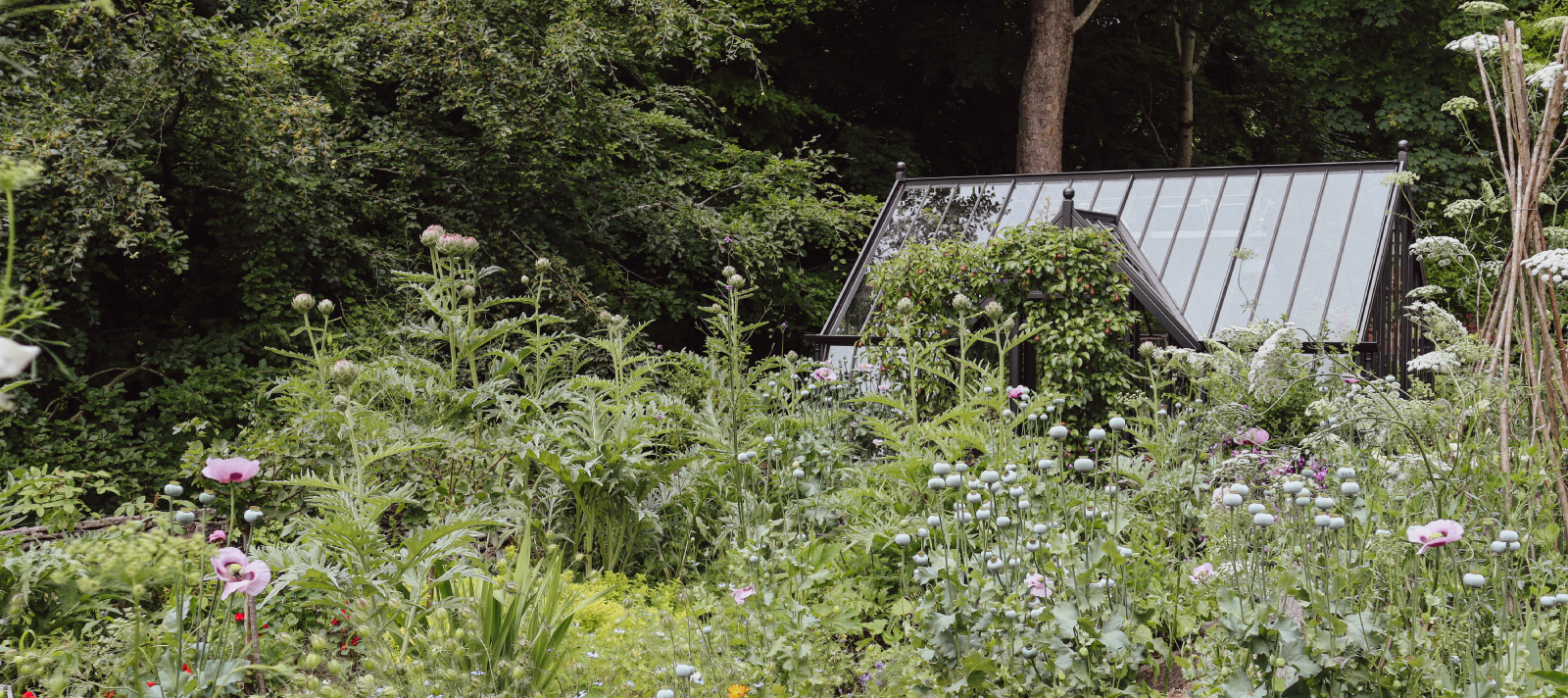 Black Alitex greenhouse case study