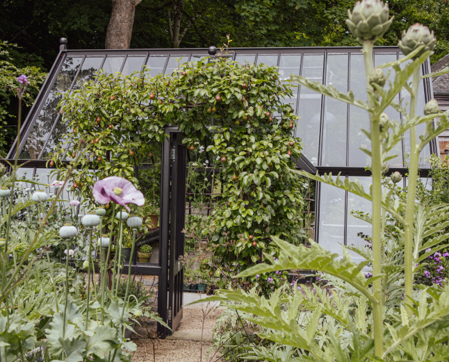 Alitex black greenhouse surrounded by flowers