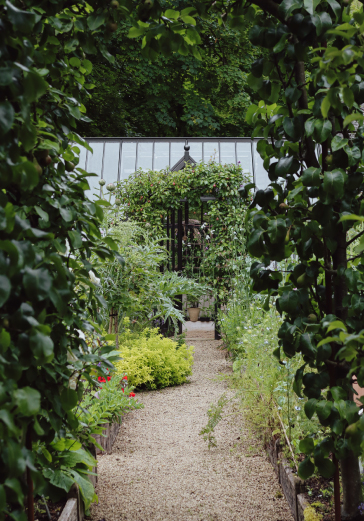 Alitex black greenhouse through bushes