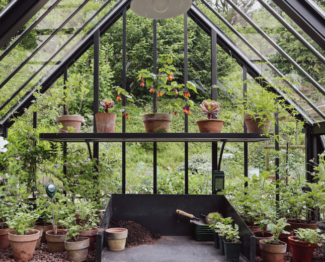 Alitex black greenhouse shelving
