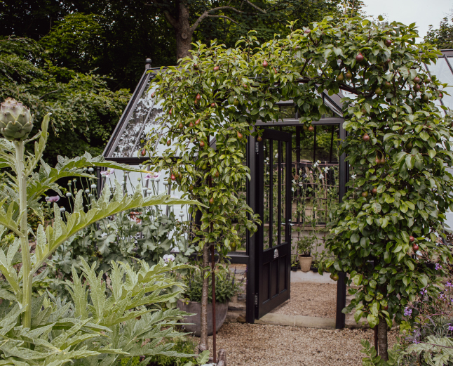 Alitex black greenhouse with flower arch
