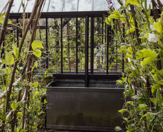 Alitex black greenhouse with water butt